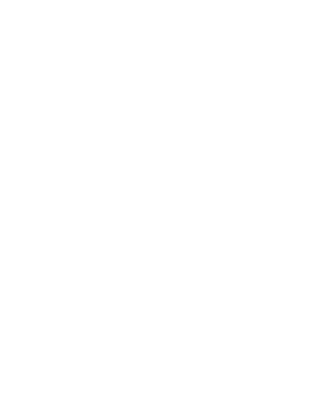 Local Administration Icon Local Administration